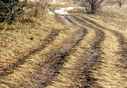 Erosion der Pflanzendecke © Drozdowski