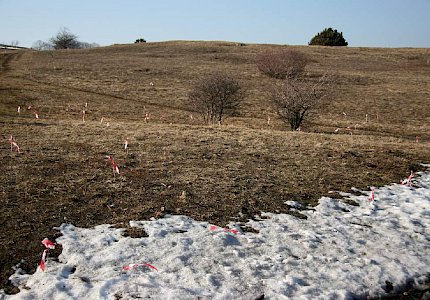 Hundekoteintrag von einem Monat, jedes Fähnchen ein Haufen im Jahr 2006 © Drozdowski