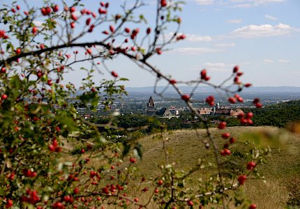 Blick auf den Perchtoldsdorfer Wehrturm von der Heide