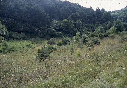 Saugraben in den 80er Jahren © Holzner