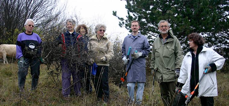 Pflege 12.11. - Pflege 12.11.