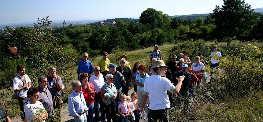Führung auf der Heide