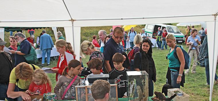 Viel Wissenswertes beim Heideinfostand © M.Strutzenberger